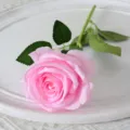 Fausse rose rose artificielle courte tige unique feuilles vertes mariage maison fête décoration - Rose