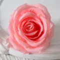 Artificial pink rose flower head for wedding decoration, romantic floral arrangement and party decor. - Coral Pink