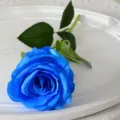 Rose artificielle bleue fausse fleur pour décoration de mariage à la maison bricolage - Bleu