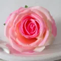 Artificial pink gradient rose flower head for wedding decoration arch and floral arrangements - Champagne Pink