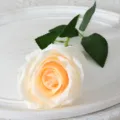 Fausse fleur de rose blanche et pêche tige unique pour décoration maison mariage DIY - Champagne