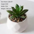 Realistische künstliche Sukkulente Little Elf in weißem facettiertem Keramiktopf, 9cm - Elfe