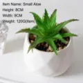 Künstliche Mini-Aloe Vera Sukkulente im weißen Keramiktopf, 8cm Büro-Tischdekoration - Kleine Aloe