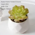 Hochwertige beflockte künstliche Sukkulente im weißen geometrischen Topf, 8 cm hoch. - Baolian Lotus (Beflockt)
