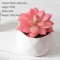 Künstliche rosa Lotus-Sukkulente in einem weißen geometrischen Keramiktopf, 10x8cm - Geteilter Lotus