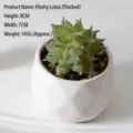 Dekorative künstliche beflockte Sukkulente in einem weißen facettierten Keramiktopf - Echeveria (Beflockt)