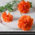 Realistic orange artificial geranium silk flower branch for wedding decor, 77cm long - Geranium / Orange