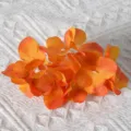 Orange artificial hydrangea flower petals for DIY crafts hair accessories and home decoration - Orange