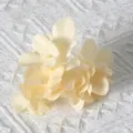Light yellow artificial hydrangea flower heads DIY material for hair accessories and home decor. - Champagne