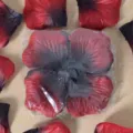 Pétales de rose artificiels rouges et noirs pour proposition de mariage et décoration. - Bordeaux Noir