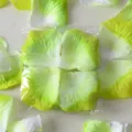 Pétales de rose artificiels vert clair pour mariage demande en mariage déco 100pcs - Bord Vert