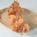 Fausse Orchidée Phalaenopsis 9 Têtes Branche pour Maison Mariage Décoration Photographie - Café n° 2
