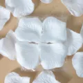 Pétales de rose artificiels blancs, 100 pièces emballées en quatre plis pour déco de mariage. - Tout Blanc