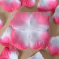 Pétales de rose artificiels pour décoration de mariage romantique rose et blanc pack - Bordure rose foncé