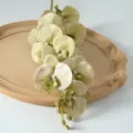 Bouquet de fleurs artificielles Phalaenopsis orchidée 9 têtes pour décoration maison. - Vert