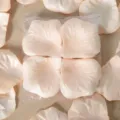 Pétales de rose artificiels pour décoration de mariage, aménagement et accessoires de fête. - Champagne Clair