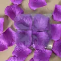 Pétales de rose artificiels violet variante, confettis en soie pour mariage et déco fête. - Violet foncé