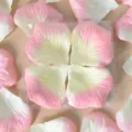 Pétales de roses artificielles pour decoration de mariage romantiques et fete rose - Rose Champagne