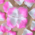 Pétales de rose artificiels rose et blanc en sachet transparent pour déco mariage 100pc - Rose Vif