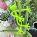 Detailweergave van een limoengroene kikker-vormige tuinplantensteun om een stengel gewikkeld - Kikkervorm / Groen