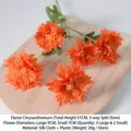 Chrysanthèmes de feu artificiels orange vif pour la décoration de mariage et maison - Chrysanthème Flamme / Orange