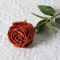 Rose artificielle orange brûlé réaliste avec des pétales pour décoration de mariage - Rose Princesse Unique / Couleur caramel
