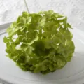 Enkele groene kunstmatige hortensia boeket voor bruiloftslay-out en interieurdecoratie - Groen