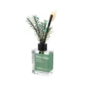 Grüner pflanzen raum diffuser mit glasflasche für frischen duft im zuhause deko set - Glockenblume (Blaue Blume)