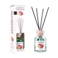 Apple Scented Reed Diffuser Set 130ML Glass Bottle Flameless Aromatherapy Home Fragrance - Apple Scent