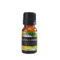 Wasserlösliches ätherisches Öl 10ml Nachfüller für Diffusor Luftbefeuchter langer Duft. - 10ml / Ylang-Ylang