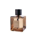 500ml square glass aroma diffuser bottle with black cap, elegant home fragrance decor. - Ebony Rose (Amber Bottle) / Smart Spray Version