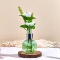 Minimalistische Glas Aroma Flasche mit künstlichen weißen Rosen, ideal für die Inneneinrichtung. - Jasmin (Hellgrün) / 50ml