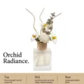 Difusor de varillas Orchid Radiance con flores secas en frasco de vidrio esmerilado - 150ML / Resplandor de Orquídea