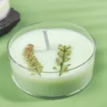 Handmade scented tea candle in clear plastic cup with dried flowers and green soy wax detail. - Light Green / Lime Basil & Mandarin