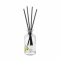 Nordischer minimalistischer Raumduft Diffusor mit schwarzen Stäben und Glasflasche. - Osmanthus / 100ml