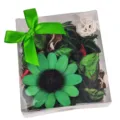 Popurrí de flores secas verde natural en una caja de regalo transparente con lazo verde - Aroma a Manzana (Verde) / Caja PVC 10x6.2x11cm