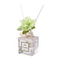 Decorative glass rose reed diffuser bottle with floral scent for home aromatherapy use. - Jasmine / PVC Transparent Gift Box
