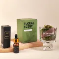 Kiefer Moos Aromatherapie Gesichtsset mit Diffusor Flasche Box und Glasbehälter für Heimtextilien. - Moos-Diffusor-Becher mit 10 ml „Träumendes Moos“ ätherischem Öl