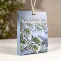 Plant aromatic wardrobe sachet for home fragrance, cedar scent hanging air freshener. - Northern Cedar