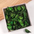 Green cotton husk potpourri refill material for home fragrance and wardrobe scent bag variant item - Jasmine / 500g Pack / Green