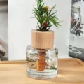 Glas-Duftdiffusor Flasche mit dekorativem Holzdeckel und Zimt Trockenblume Variante. - Kirschblüte & Pfingstrose