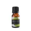 Muntblad Essentiële Olie 10ml Navulling voor Auto Aromaverspreider Luchtverfrisser Geur - 10ml / Munt