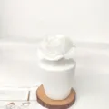 Nordische minimalistische weiße Keramikvase mit Diffusorblume für elegante Tischdeko. - L'Eau d'Issey (Cremeweiße Blüten) / Keramik-Geschenkset mit 50 ml ätherischem Öl