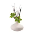 Nordische Keramikvase Aromadiffusor Set mit gruenen Trockenblumen und schwarzen Staeebchen. - Quellwasser