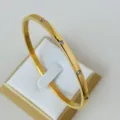 Eleganter 4 mm vergoldeter Titanstahl-Armreif mit Zirkonia-Steinen, minimalistisches Design - 10-Steine-Stil / Gold
