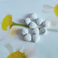 Cabochons en pierre blanche naturelle en forme de cœur pour bijoux DIY, colliers et accessoires. - 10x10mm / Turquoise Blanche