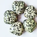 Dalmatian jasper heart crystal palm stone natural mineral gemstone craft decoration. - Spotted Stone