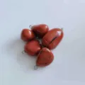 Natural Red Jasper Gemstone Tumbled Stone Pendant for DIY Handmade Necklace Variant - Red Jasper
