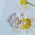White chalcedony heart cabochons for DIY jewelry making, rings and necklaces, natural stone. - Agate