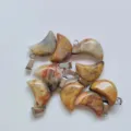 Natuurlijke kristallen halve maan hangers, kleurrijke mini maansteen bedels voor DIY sieraden. - Gekke Agaat